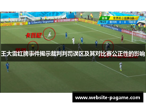 王大雷红牌事件揭示裁判判罚误区及其对比赛公正性的影响