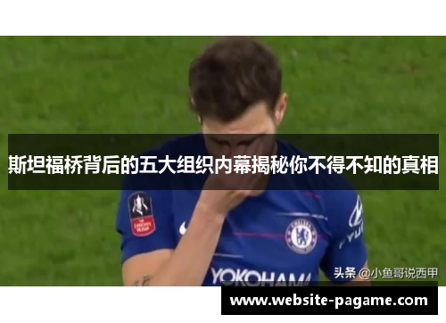 斯坦福桥背后的五大组织内幕揭秘你不得不知的真相