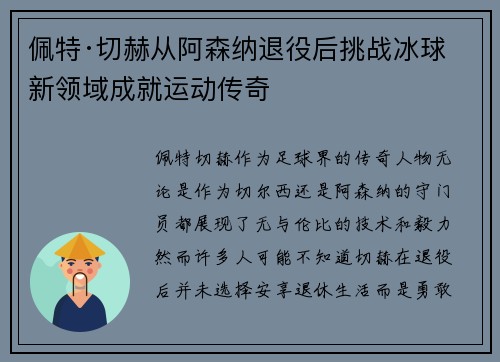 佩特·切赫从阿森纳退役后挑战冰球新领域成就运动传奇 佩特·切赫从阿森纳退役后挑战冰球新领域成就运动传奇
