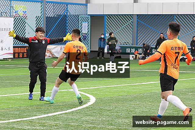 认识pa电子